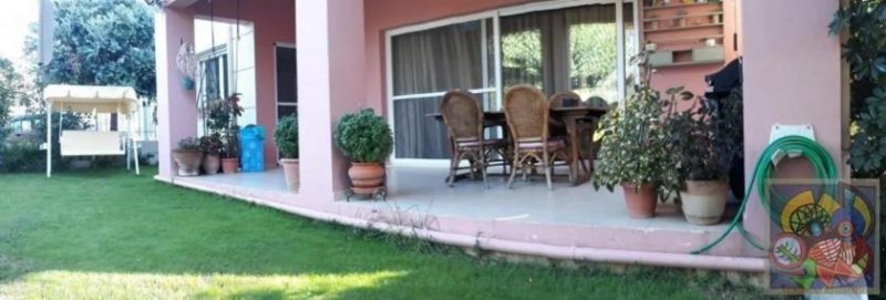 Siva Kreta, Siva, freistehende Villa Wfl.230m² im Olivenhain Haus kaufen